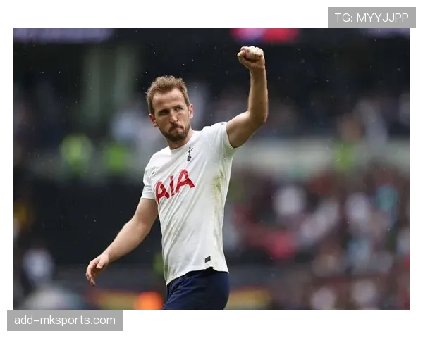 哈里·凯恩多次斩获英超金靴的含金量解析：效率、竞争环境与历史定位