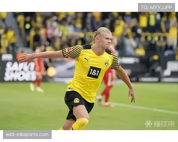 帕利尼亚：从破坏到出球的数据进化分析