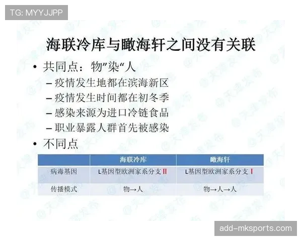 福登与帕尔默的位置竞争：战术适配性的关键差距解析